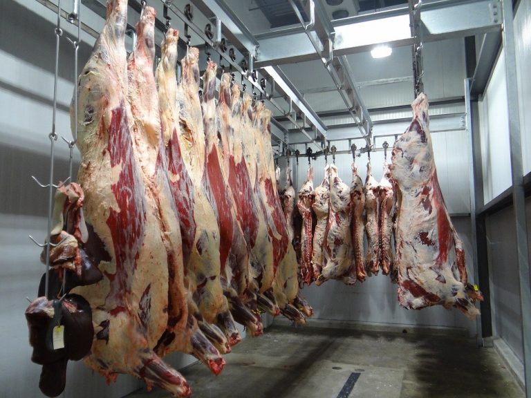 Butchered cow meat hanging for sale