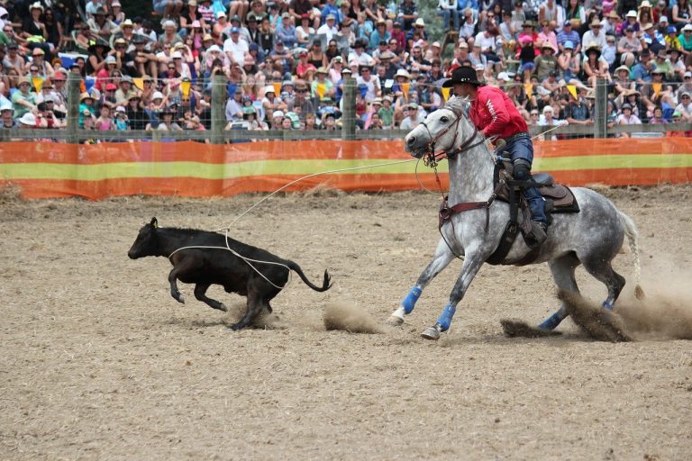 Best Calf Ropes (Beginners, Kids, Breakaway)