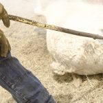 5 Best Gloves for Farm Work (Ranch, Winter, Waterproof...)